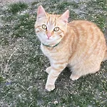 דירה Haus Christina Großkirchheim