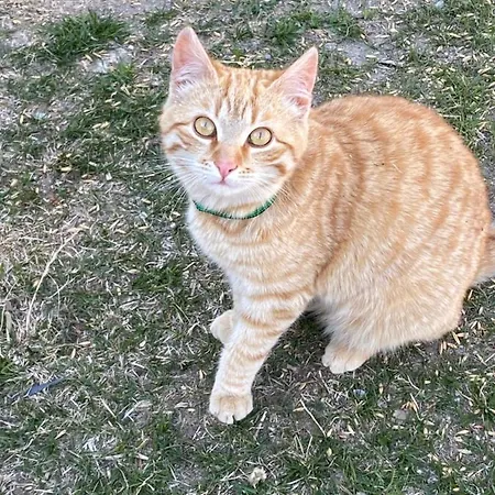 Lejlighed Haus Christina Großkirchheim