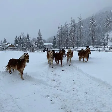 Apartmán Haus Christina Großkirchheim