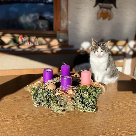 Haus Christina Apartment *