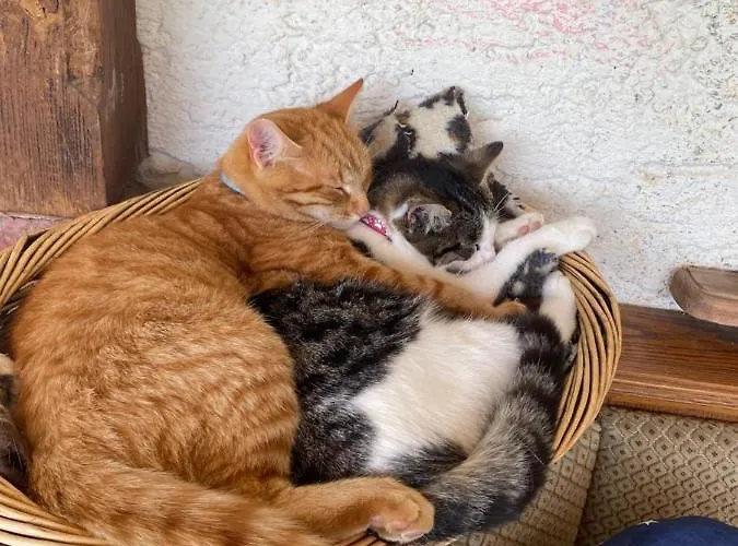 Haus Christina דירה Großkirchheim